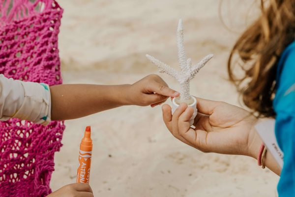 artificial coral restoration tree is decorated at mayakoba