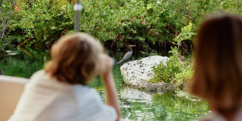 boy uses binoculars to watch bird during mayakoba boat tour