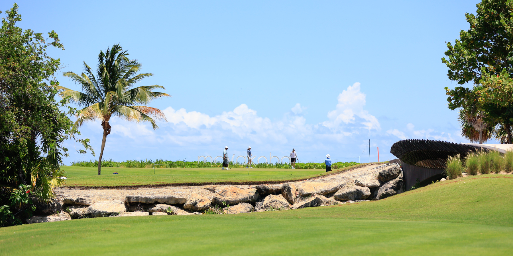 Campo Golf El Camaleon